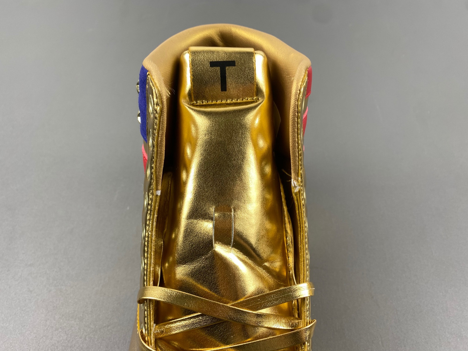 DONALD TRUMP NEVER SURRENDER