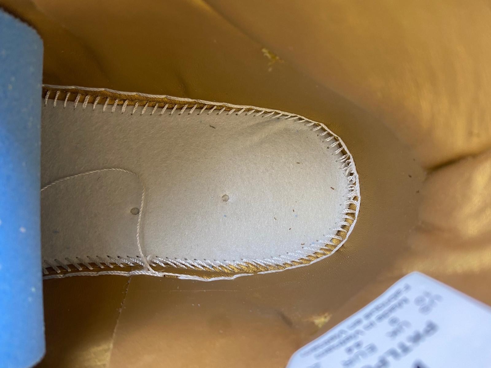 DONALD TRUMP NEVER SURRENDER